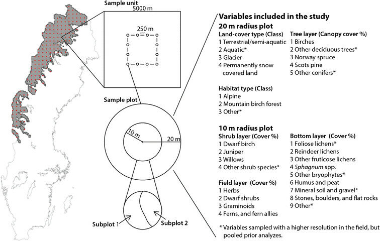 The map shows the location of stratum 10 (gray), i.e., the Swedish mountain region, and the 145 systematically placed 5 × 5 km sample units (red). The 12 circular sample plots is in the center of the sample unit with a distance of 250 m between the centers of each plot and a distance of 2125 m between the centers of each plot and the edge of the 5 × 5 km2. Each plot consists of two concentric circular plots, and different variables are recorded in these plots. Canopy cover is estimated in the 20-m radius plot, and shrub cover, cover of field vegetation, and cover of the bottom layer are estimated in the 10-m radius plot. The sample plot is divided into subplots if the sample plot contains distinct areas of different types of land use or land cover etc. (Esseen et al. 2007). The figure also shows a list of the field variables used in this study sorted size of the circular sample plots.