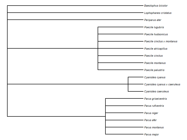 Taxonomic tree